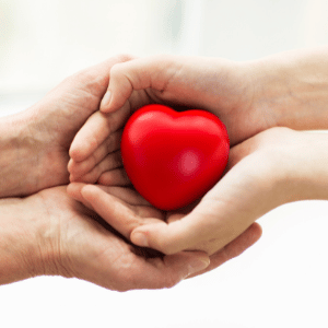 Veteran Elder Care Support Programs